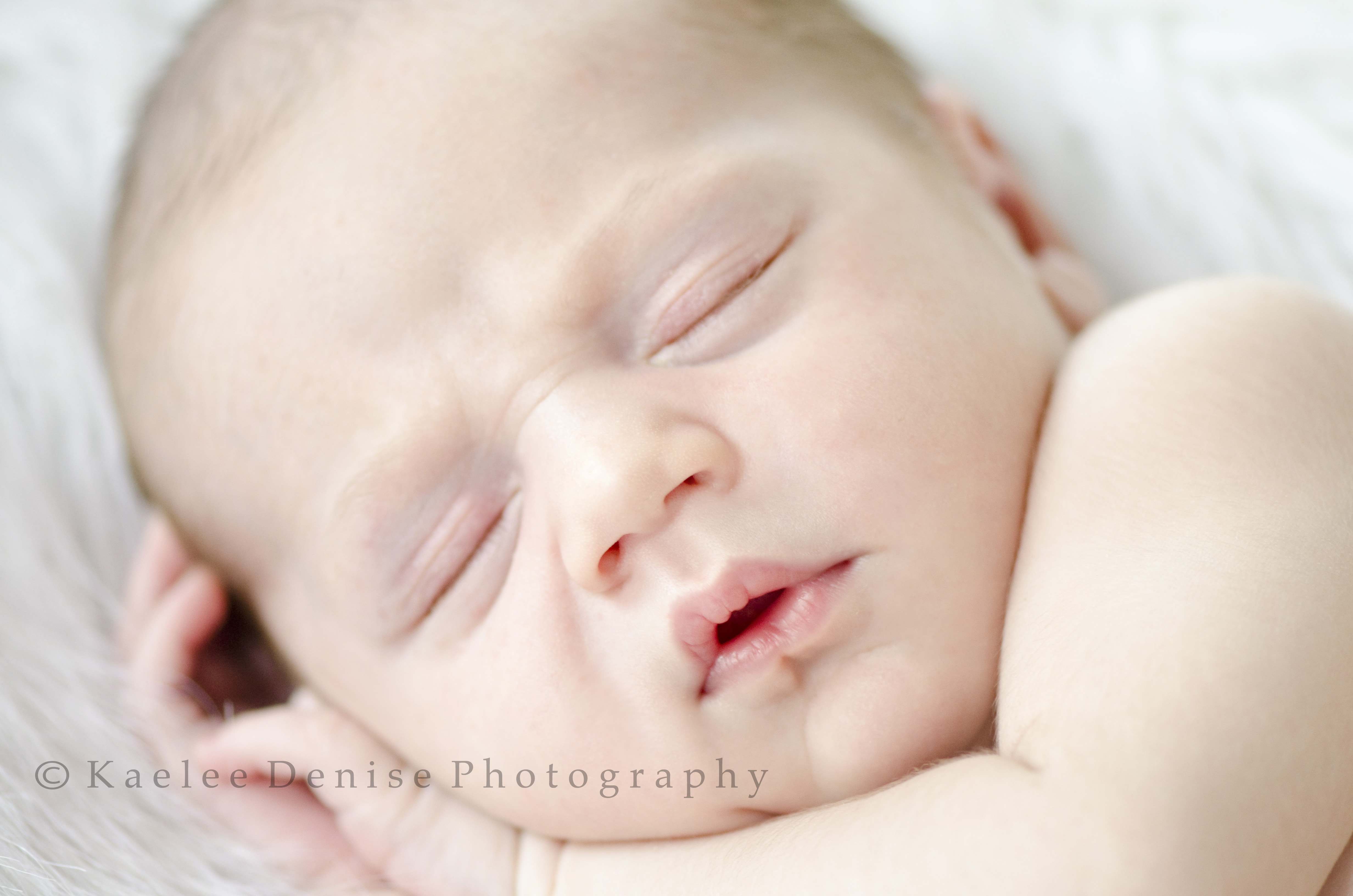 Kaelee Denise Photography