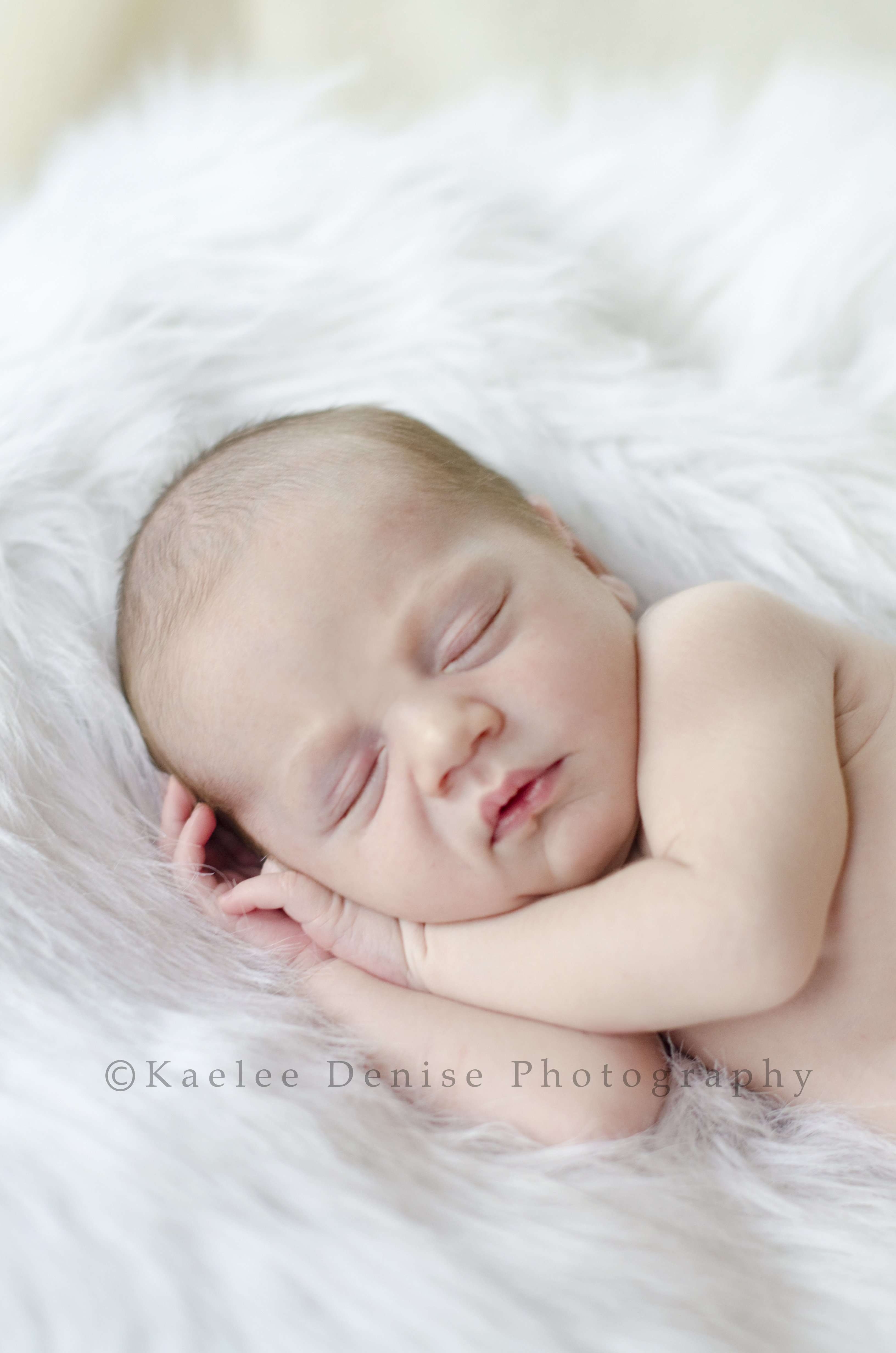 Kaelee Denise Photography