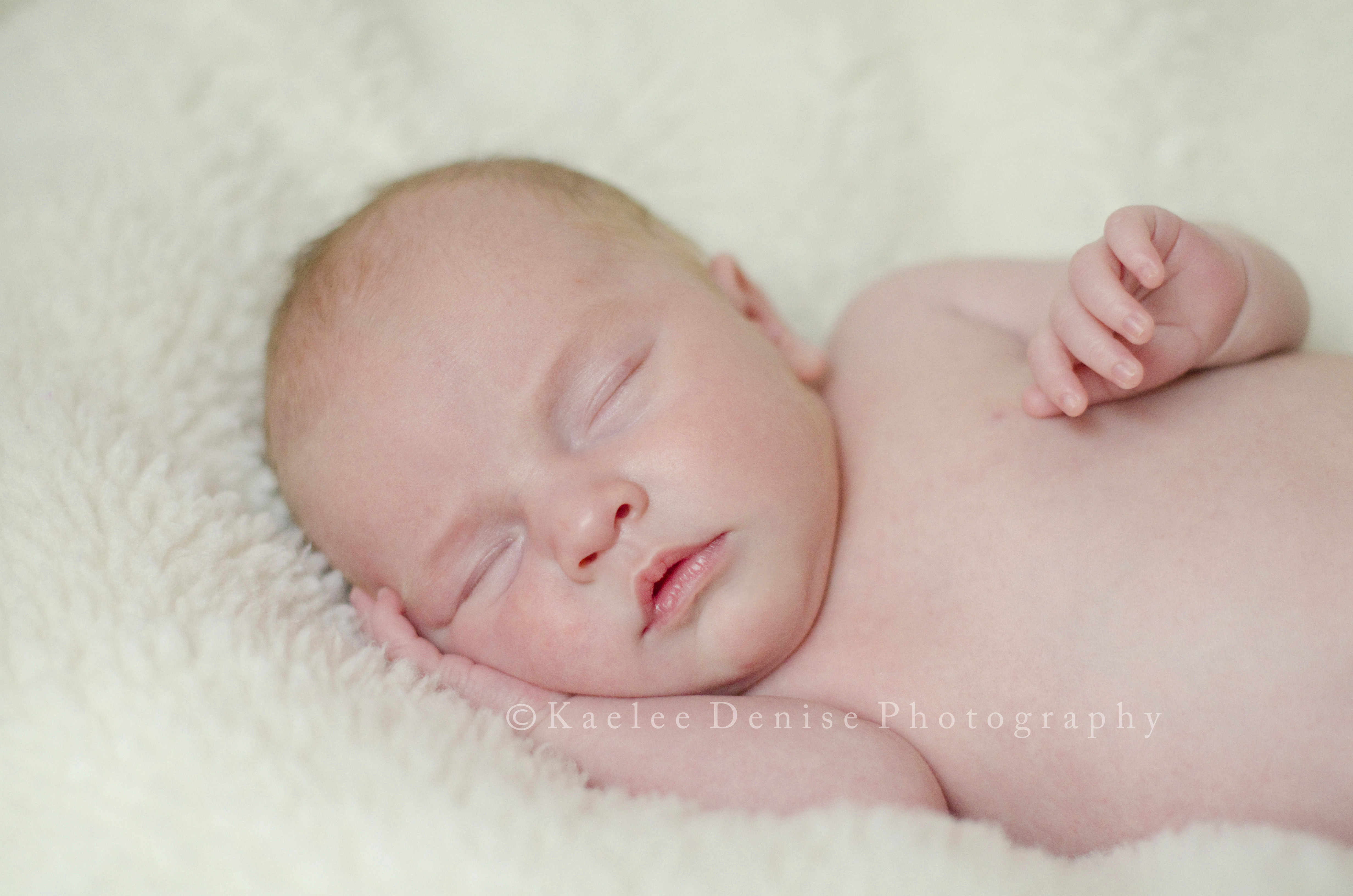 Kaelee Denise Photography