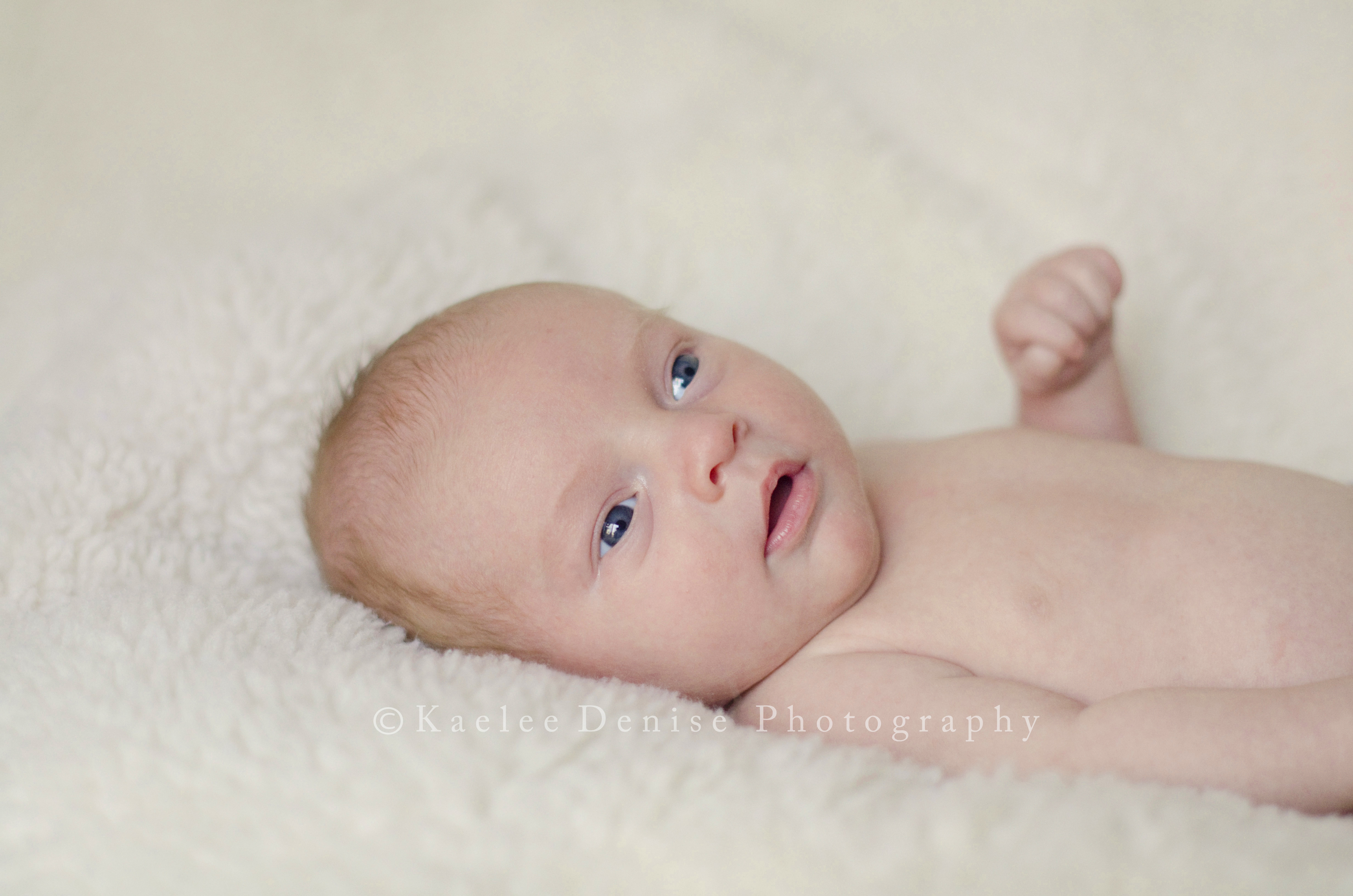 Kaelee Denise Photography