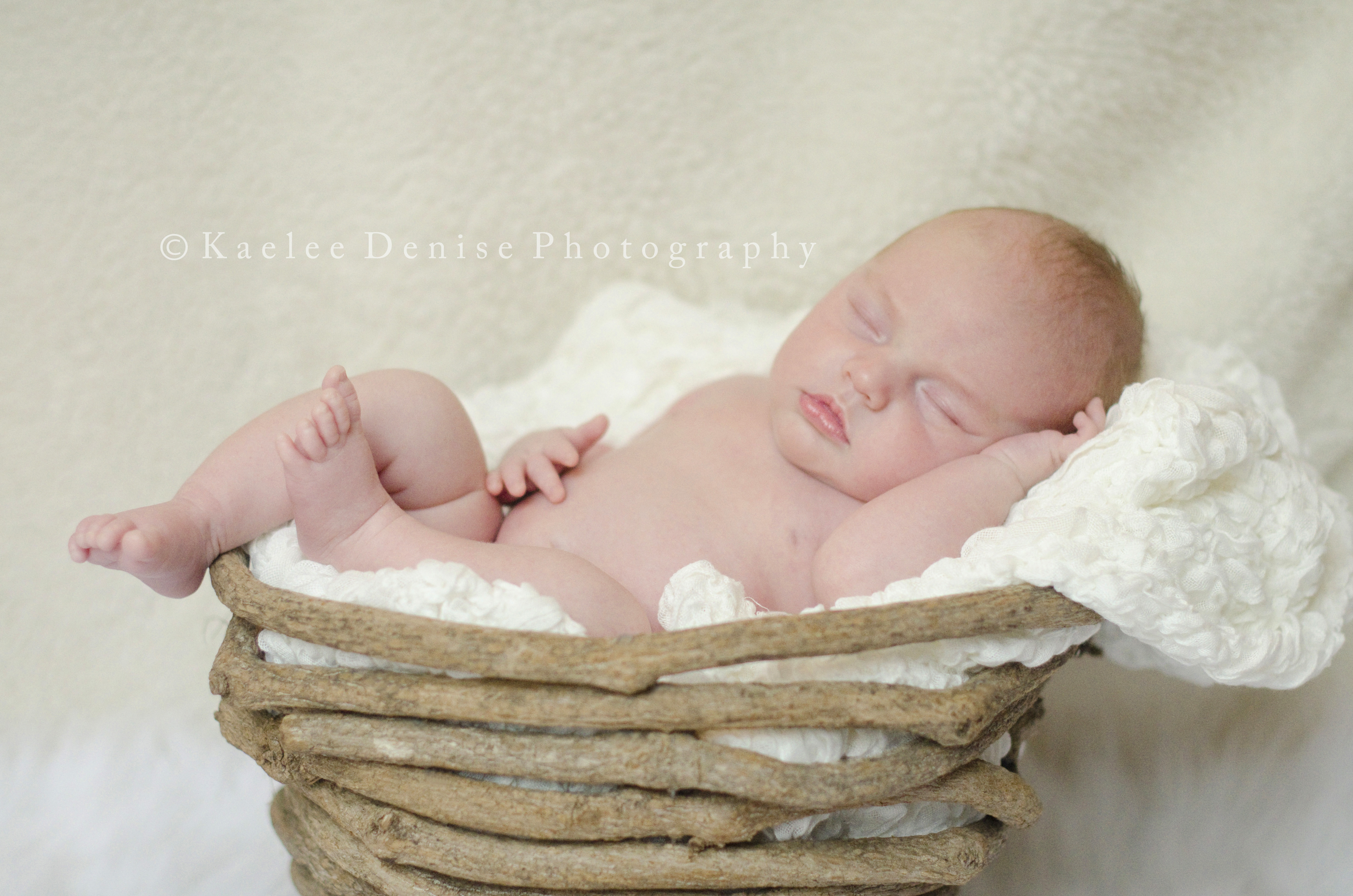 Kaelee Denise Photography