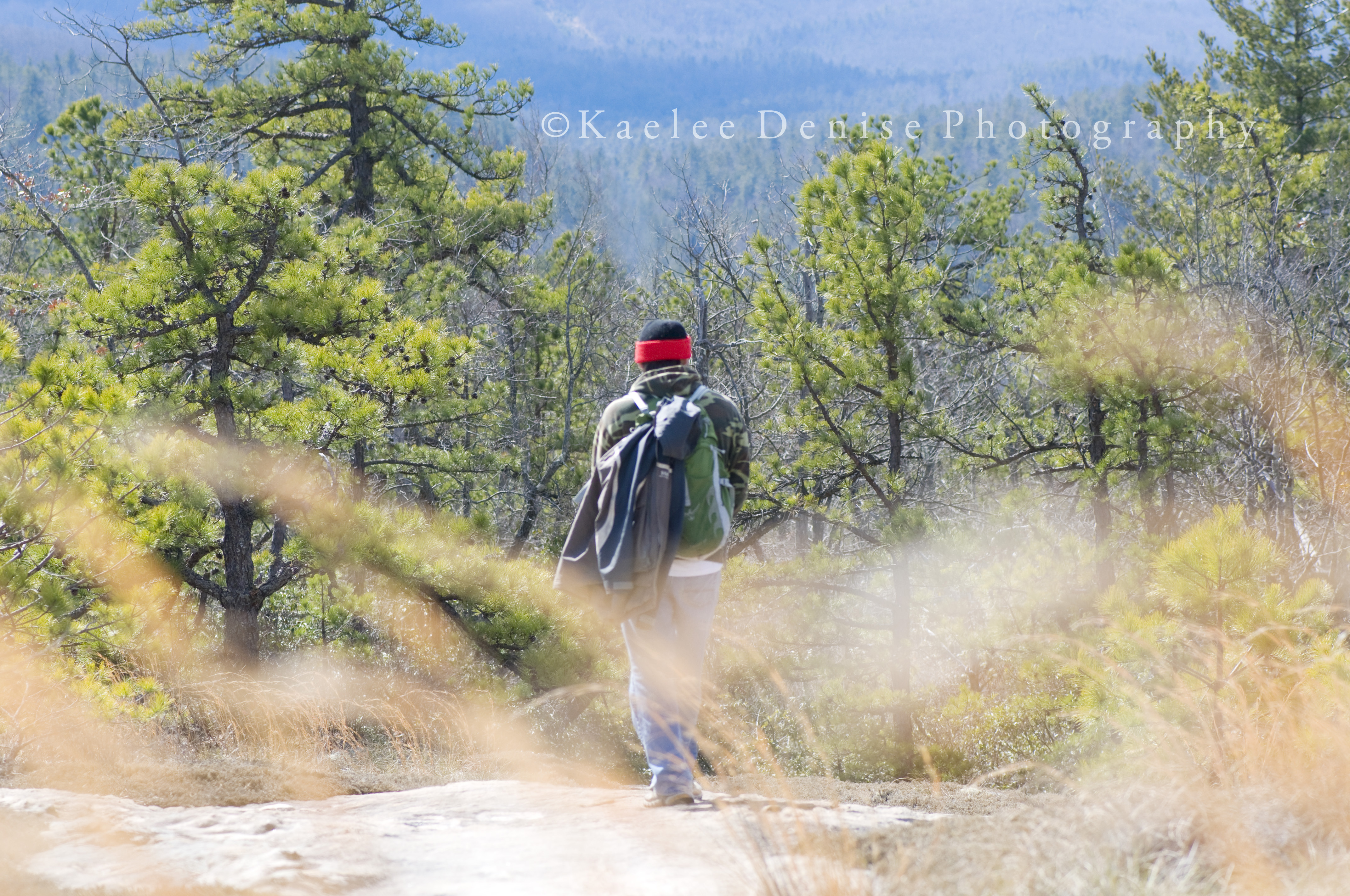 Kaelee Denise Photography