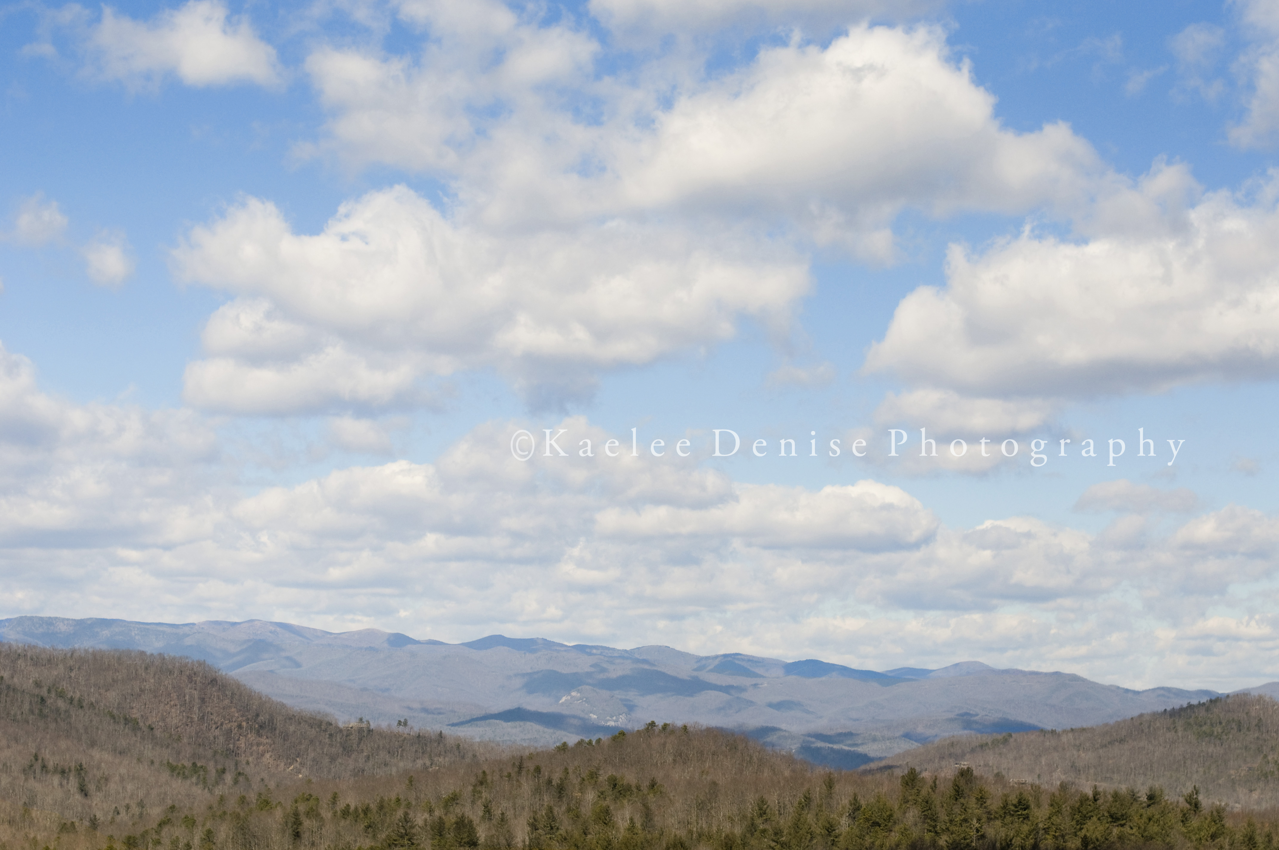 Kaelee Denise Photography