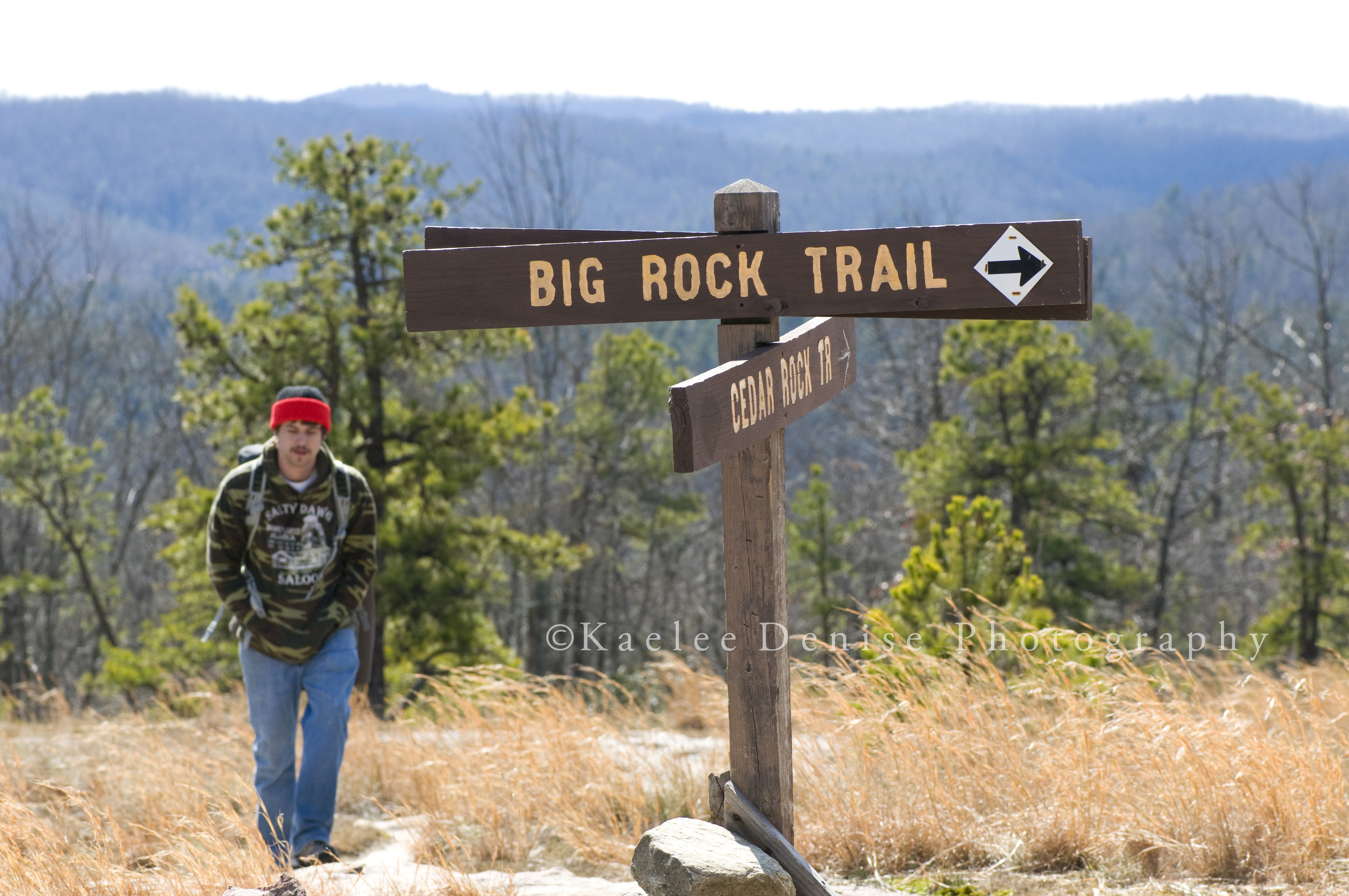 Kaelee Denise Photography