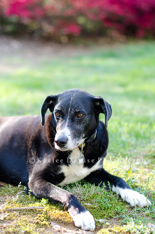 Kaelee Denise Photography