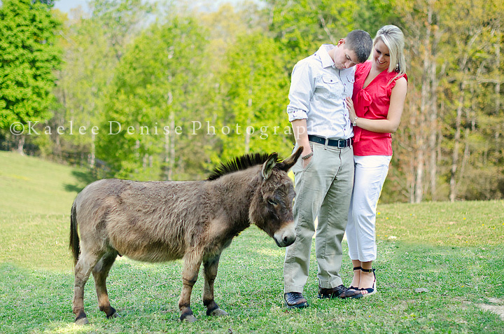 Kaelee Denise Photography