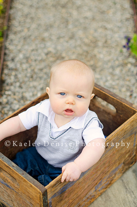 Kaelee Denise Photography