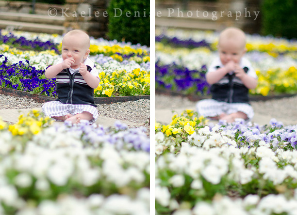 Kaelee Denise Photography