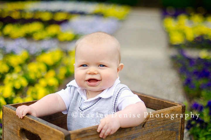 Kaelee Denise Photography