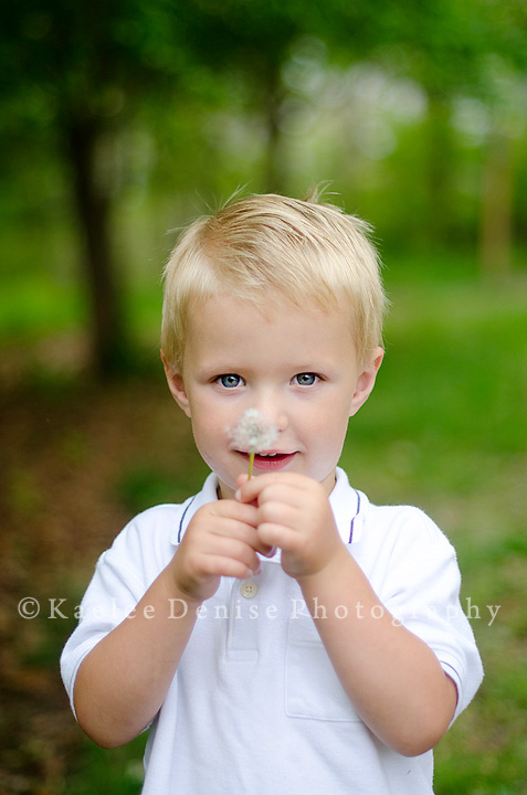 Kaelee Denise Photography