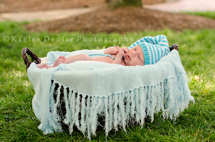 Kaelee Denise Photography