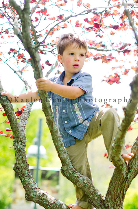 Kaelee Denise Photography