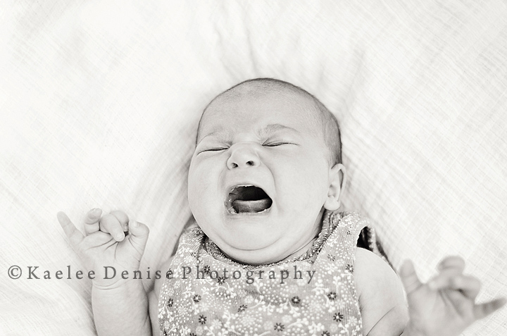 Kaelee Denise Photography