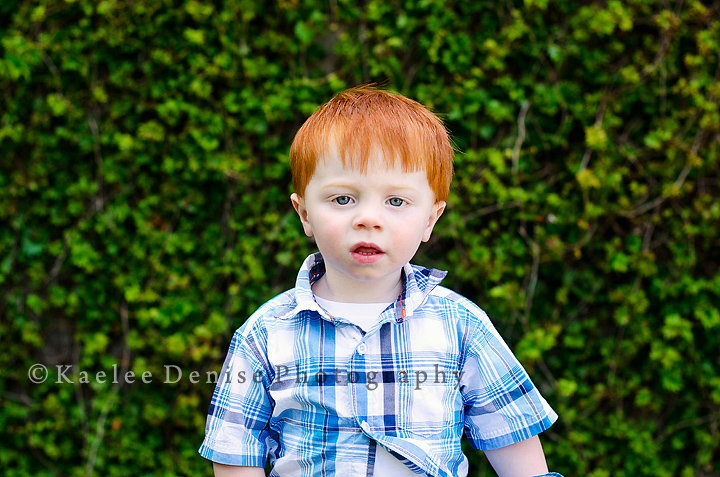 Kaelee Denise Photography