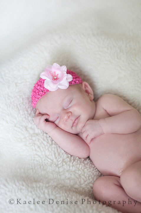 Kaelee Denise Photography