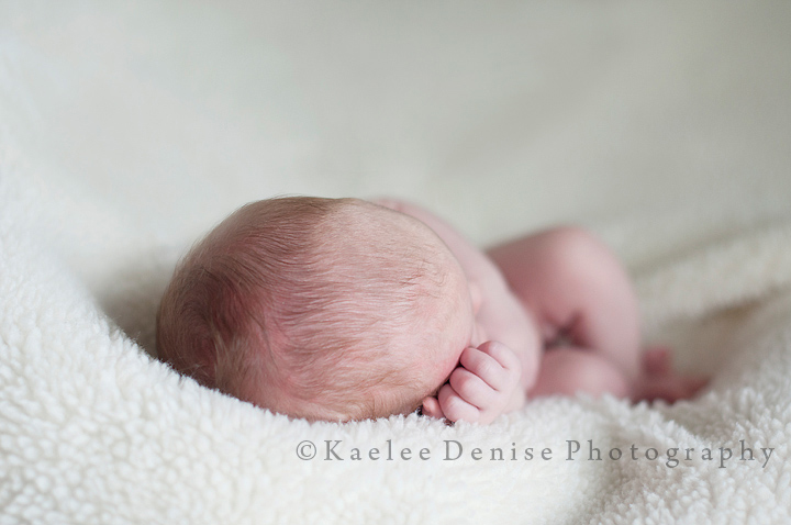 Kaelee Denise Photography