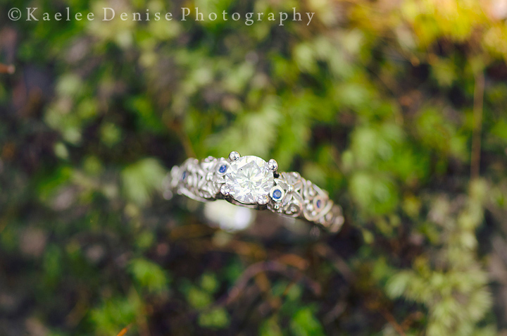 Kaelee Denise Photography