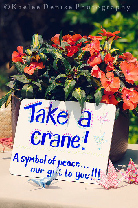 Kaelee Denise Photography