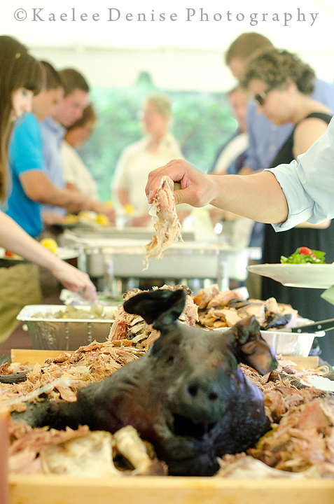 Kaelee Denise Photography