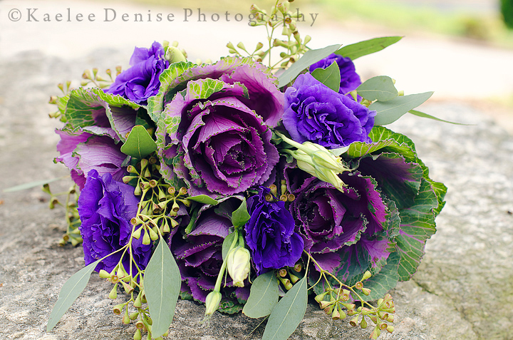 Kaelee Denise Photography