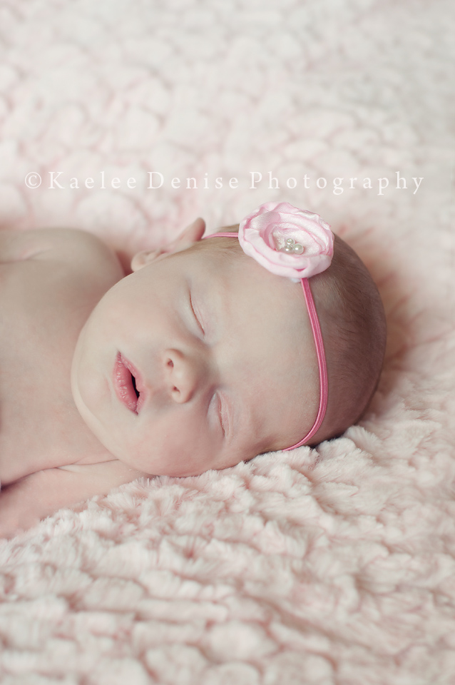 Kaelee Denise Photography