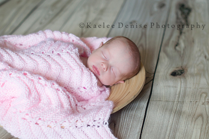 Kaelee Denise Photography