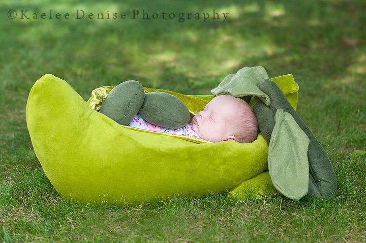 Kaelee Denise Photography