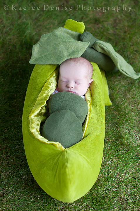 Kaelee Denise Photography