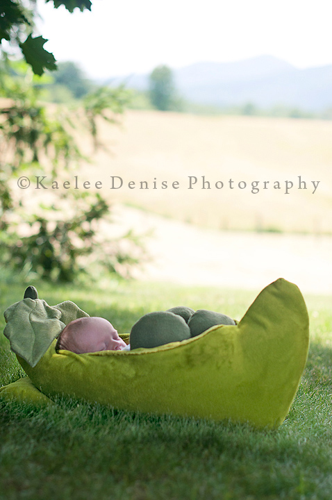 Kaelee Denise Photography