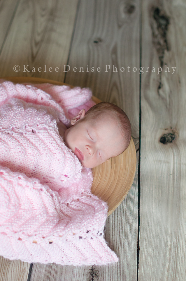 Kaelee Denise Photography