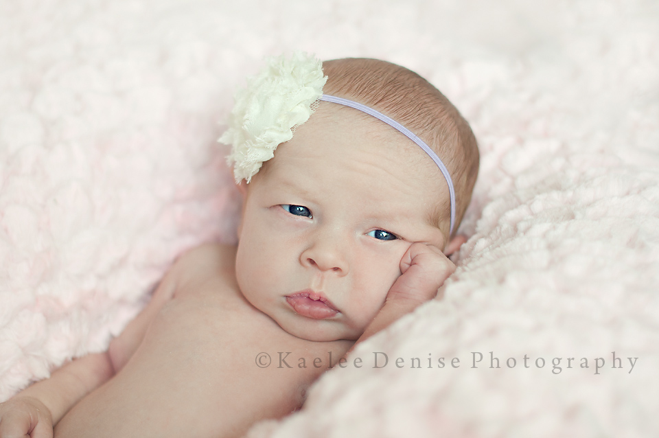 Kaelee Denise Photography