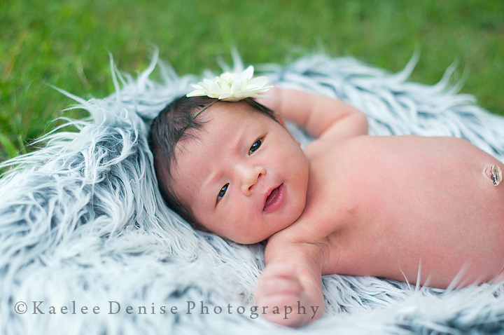 Kaelee Denise Photography