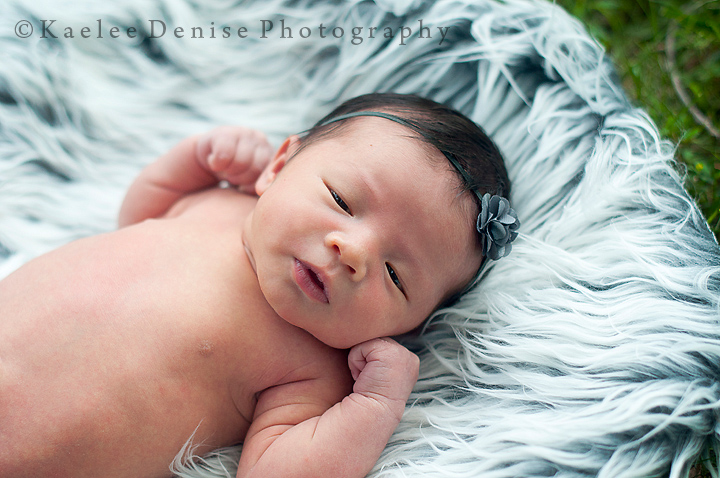 Kaelee Denise Photography