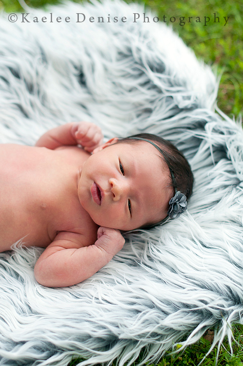 Kaelee Denise Photography