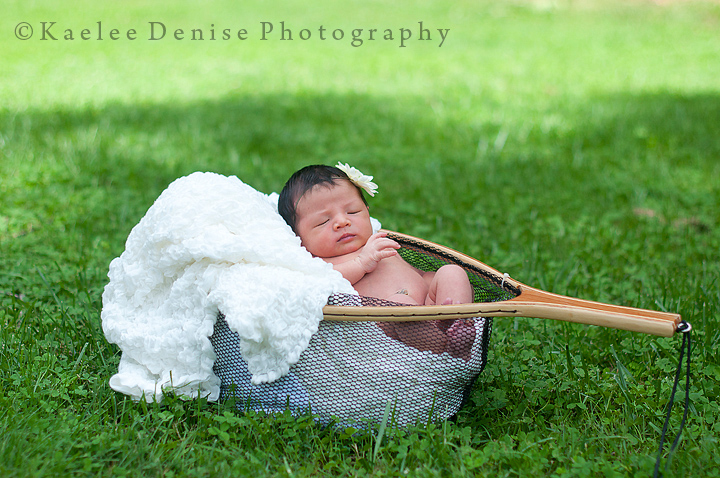 Kaelee Denise Photography