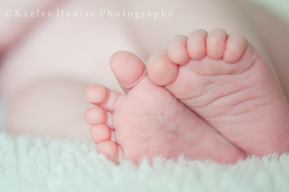 Kaelee Denise Photography