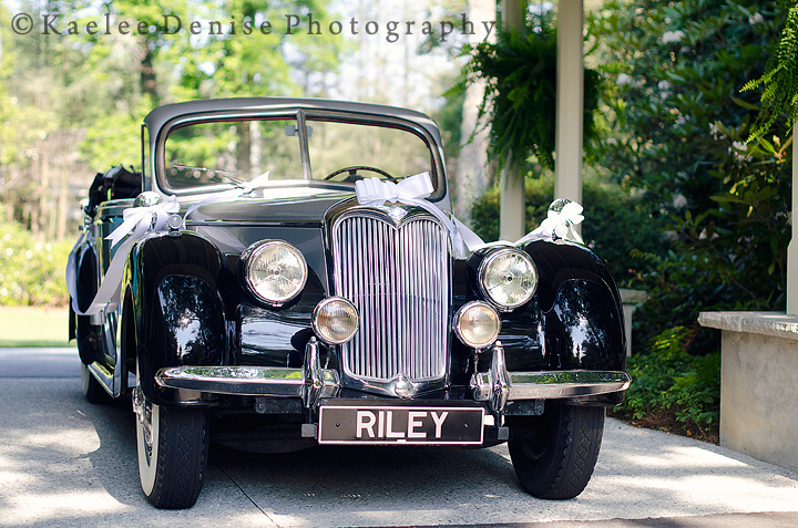 Kaelee Denise Photography