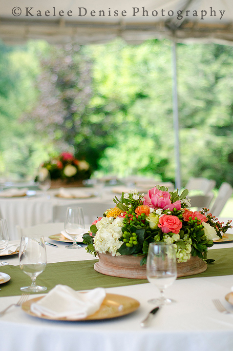 Kaelee Denise Photography