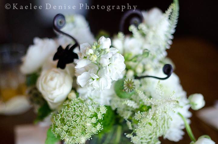 Kaelee Denise Photography