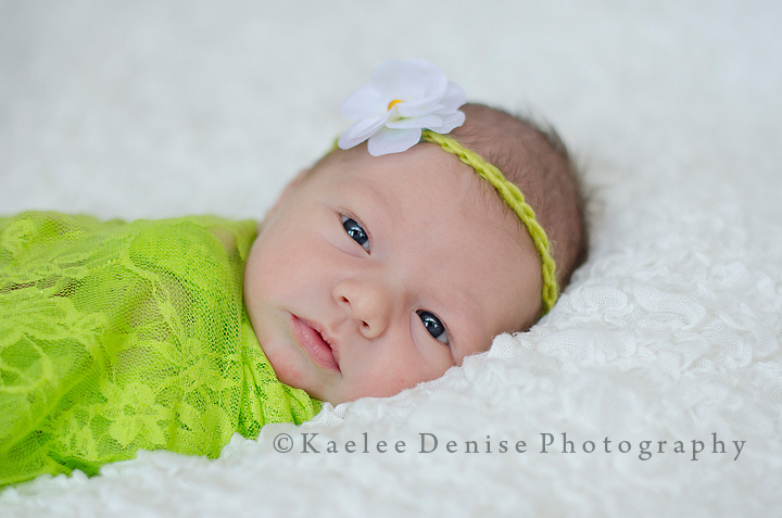 Kaelee Denise Photography