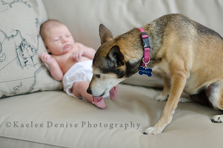 Kaelee Denise Photography