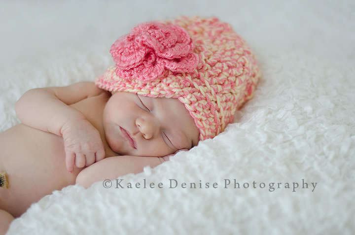 Kaelee Denise Photography