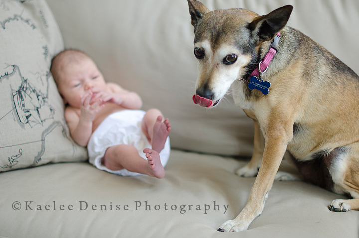 Kaelee Denise Photography