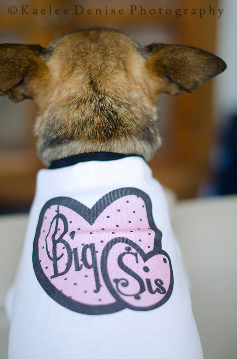 Kaelee Denise Photography