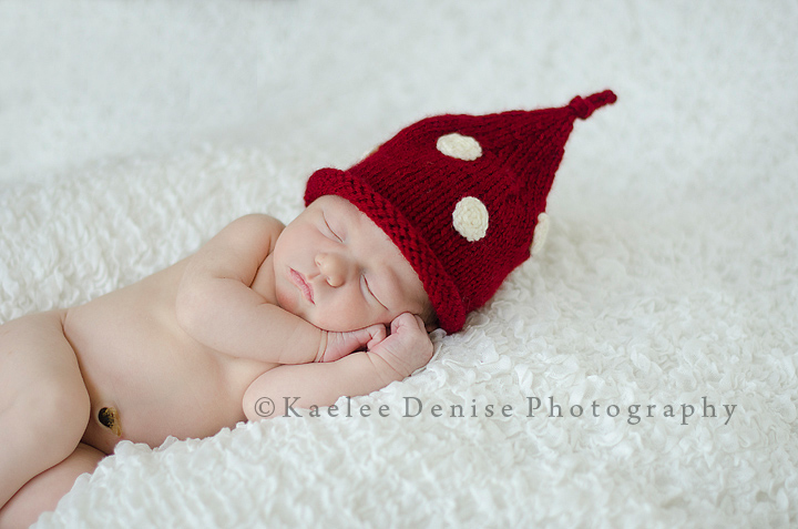 Kaelee Denise Photography