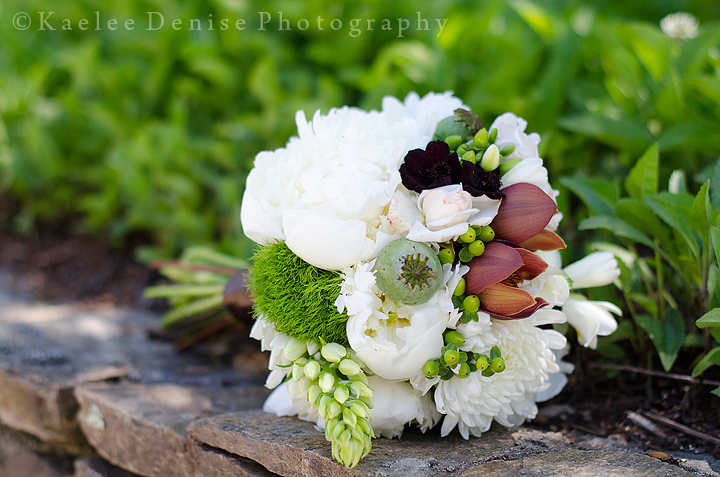 Kaelee Denise Photography