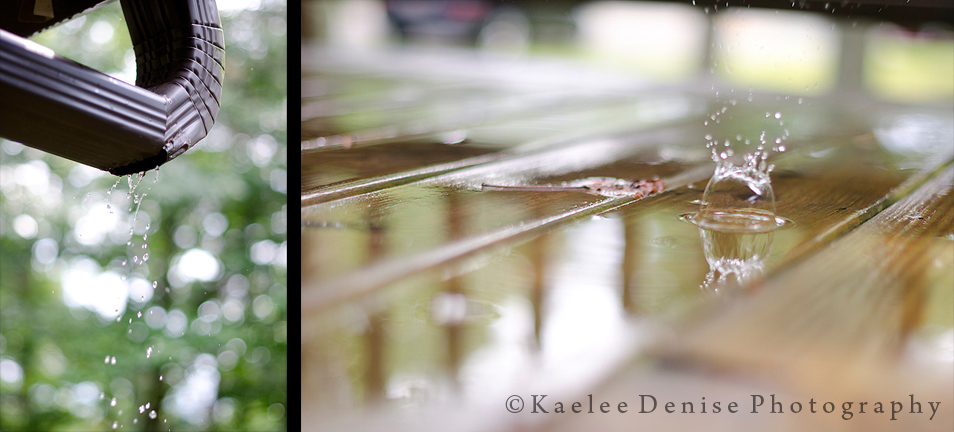 Kaelee Denise Photography