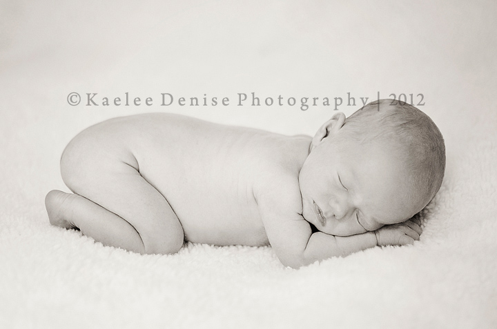Kaelee Denise Photography