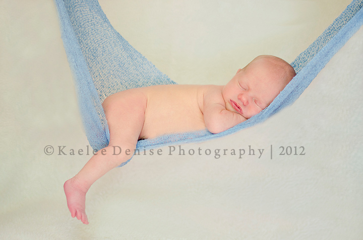 Kaelee Denise Photography