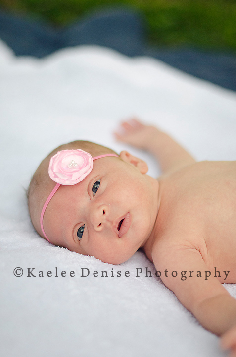 Kaelee Denise Photography